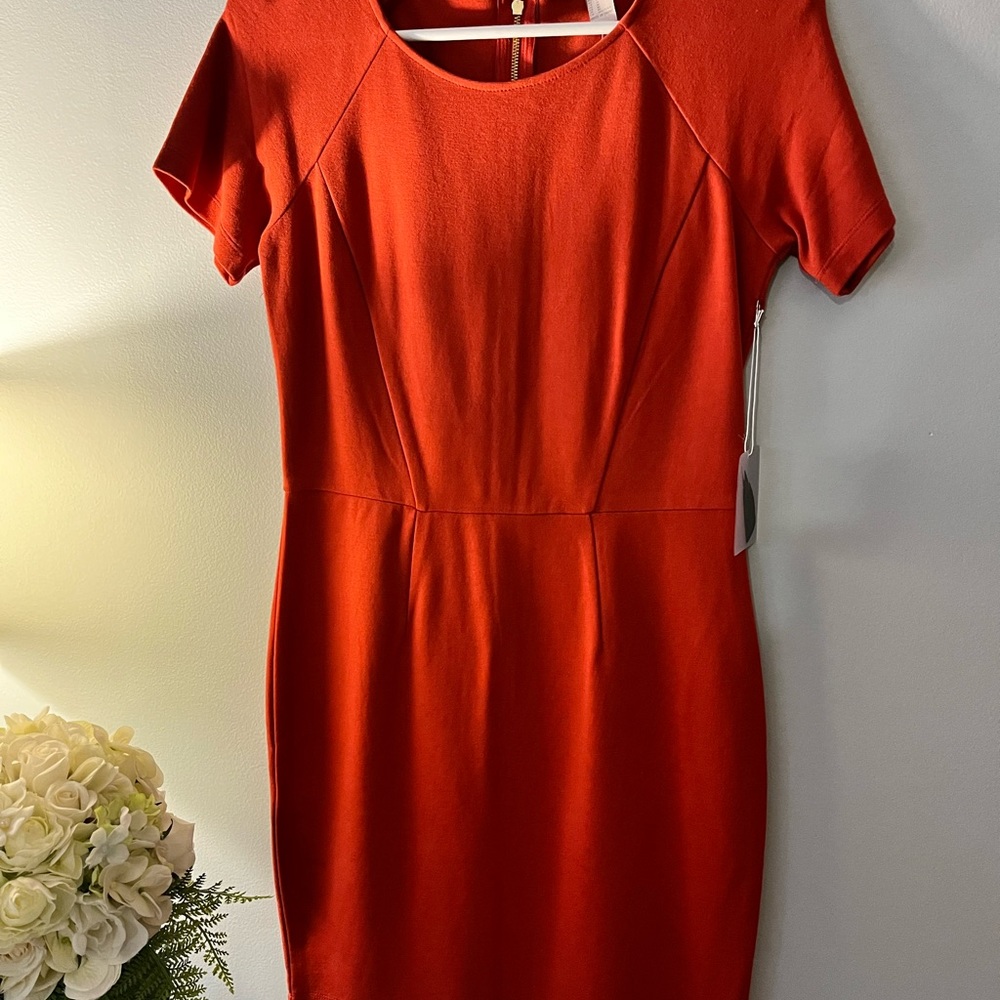Little orange dress